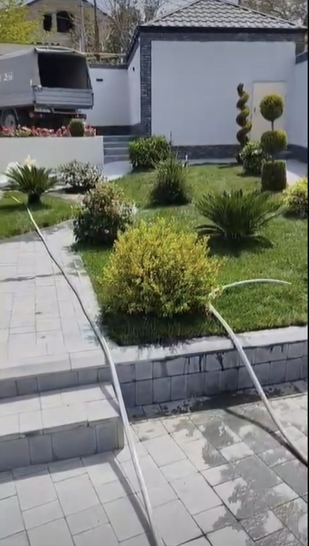 Qazon və landşaft abadlaşdırılması xidməti - 2