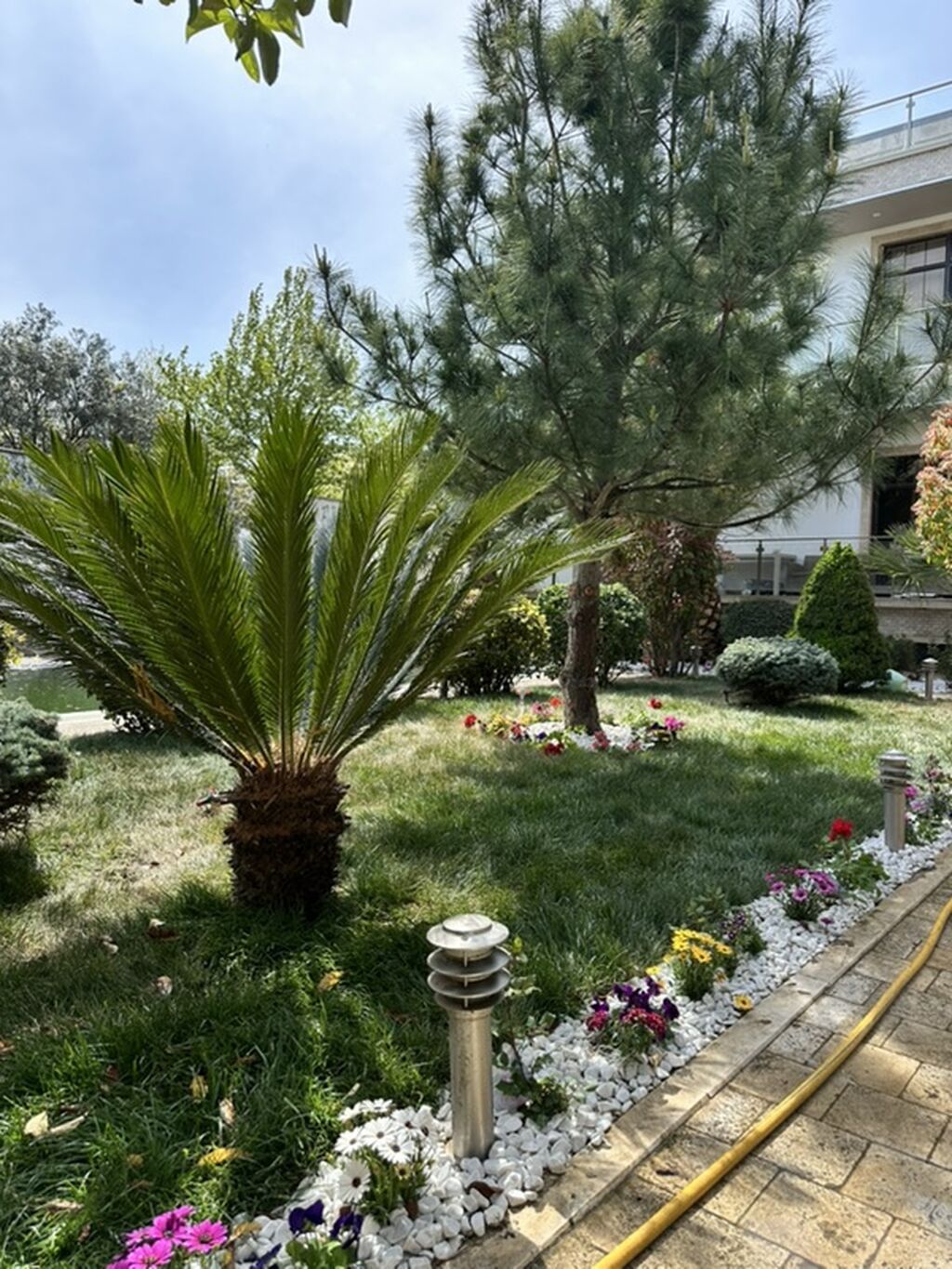 Peşəkar landşaft dizaynı və yaşıllaşdırma xidməti - 3