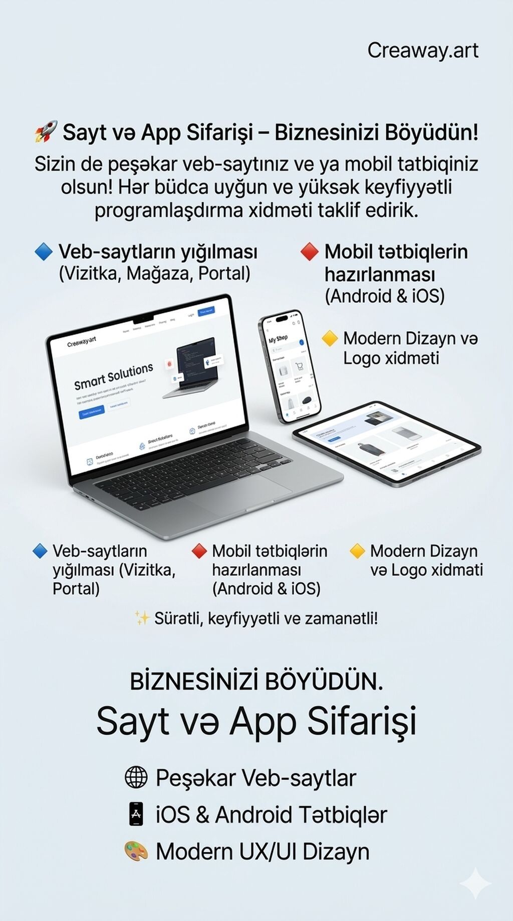 Veb sayt və mobil tətbiq hazırlanması - 2