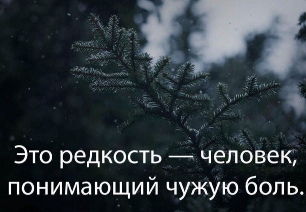 Psixoloji dəstək və konsultasiya xidməti