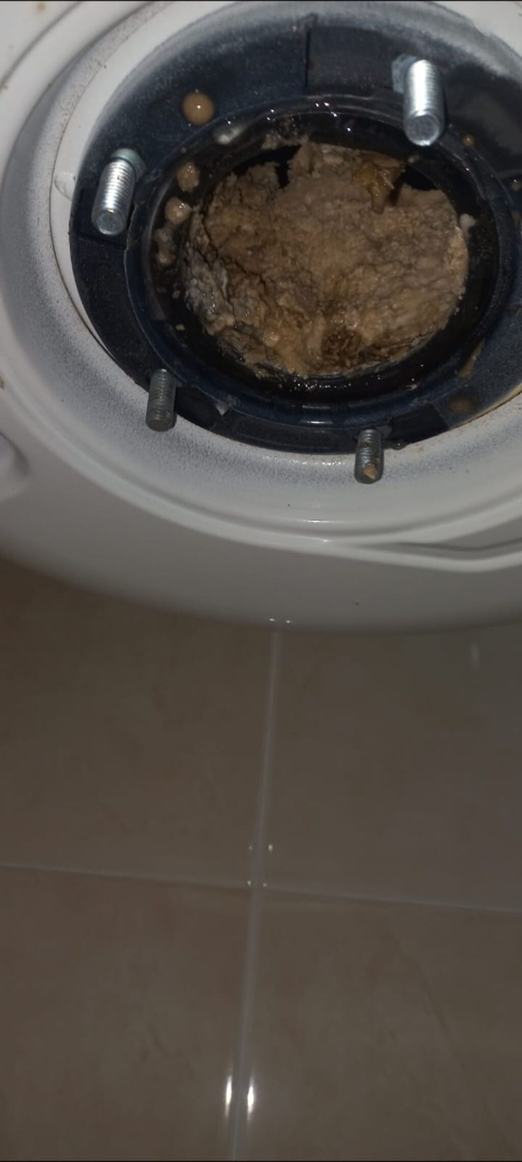 Ariston su qızdırıcılarının montajı və təmizlənməsi - 2