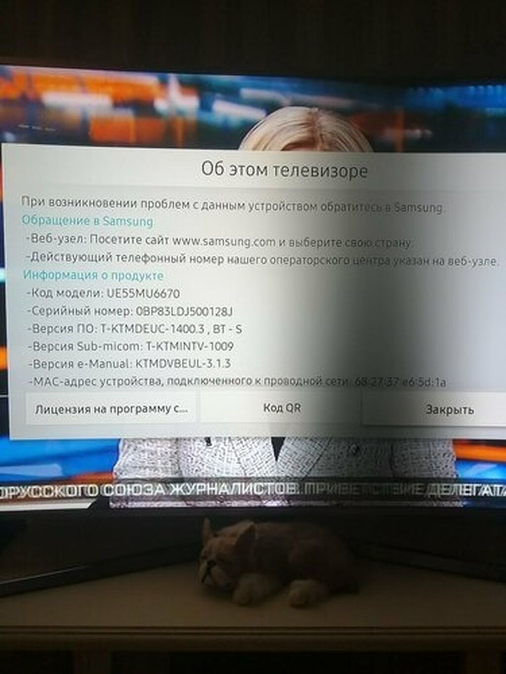 Televizorların təmiri və diaqnostikası - 2